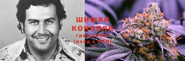 трава Алзамай