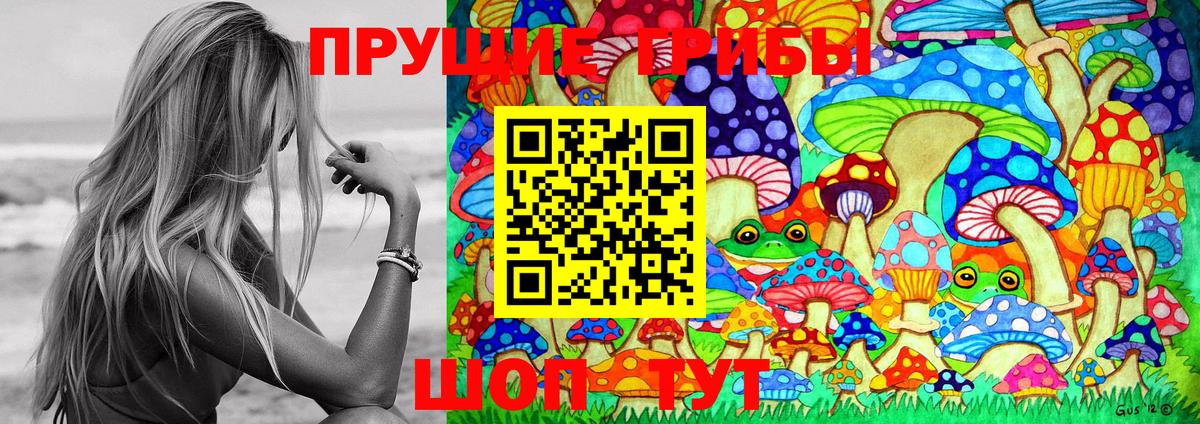 Галлюциногенные грибы Psilocybine cubensis  Вход с VPN  Галлюциногенные грибы Psilocybine cubensis  Старый Оскол 